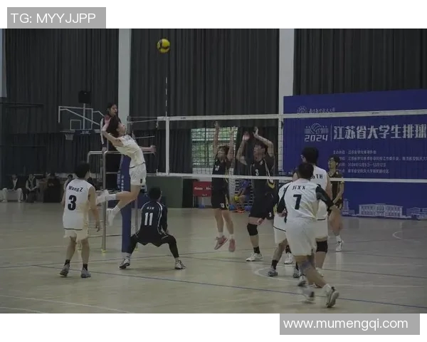 上海排球队的奋斗与荣耀：一段不平凡的排球纪实之旅