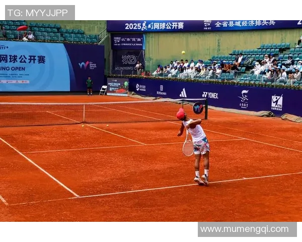 对话杨静：回顾她的网球生涯与未来展望的深度交流