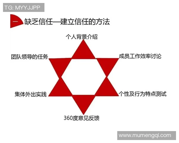 南京排球队防反体系解析：高效战术与团队协作的完美结合