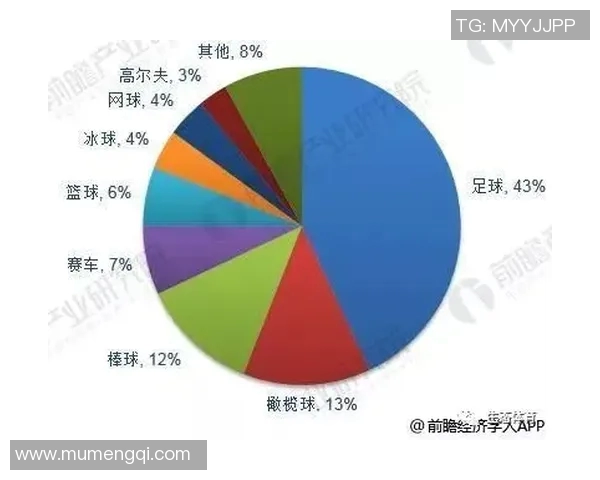 南京足球队的控制革新探索与发展路径分析