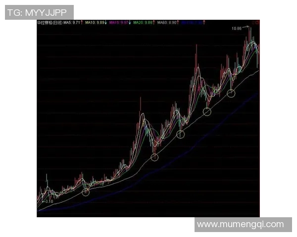 深入分析北京网球队中路突破战术的独特魅力与实战应用