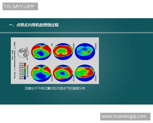 武汉羽毛球队心理素质分析及其对比赛表现的影响研究