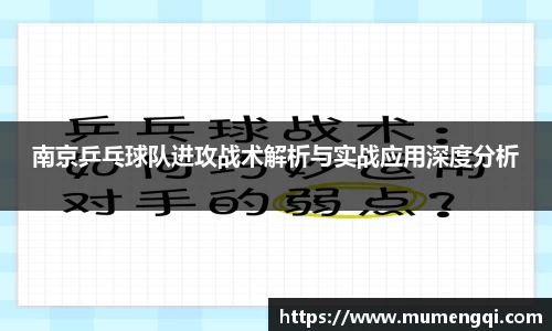 南京乒乓球队进攻战术解析与实战应用深度分析